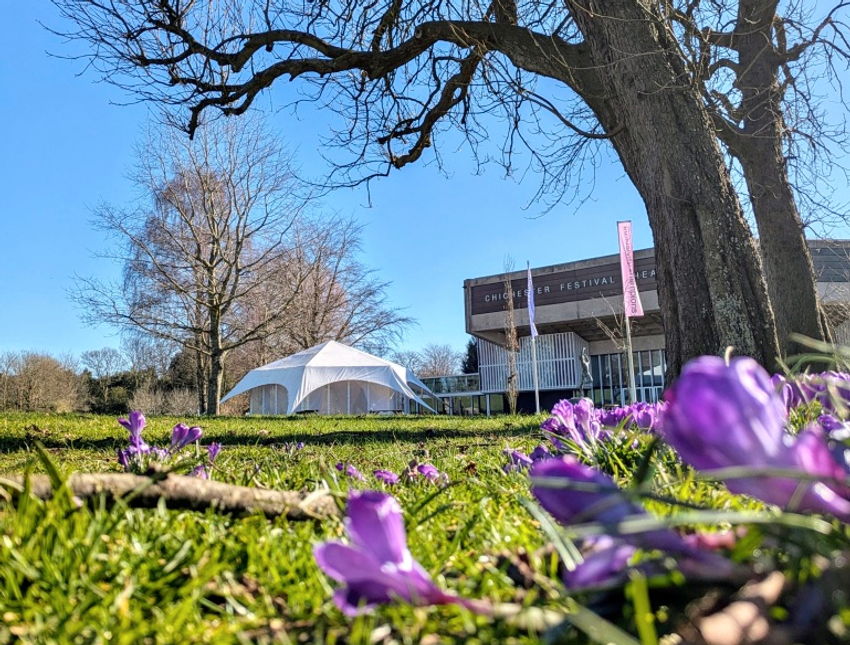 In the foreground, at low level bright purple crocuses spring from the grass. Magnificent bare-branched trees sit in the middle distance, and Chichester Festival Theatre's iconic brutalist building sits over on the right of the image, framed by a clear blue sky